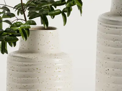 Holden Speckled White Vases 3D model