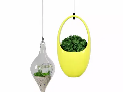 decorative hanging plant 3D model