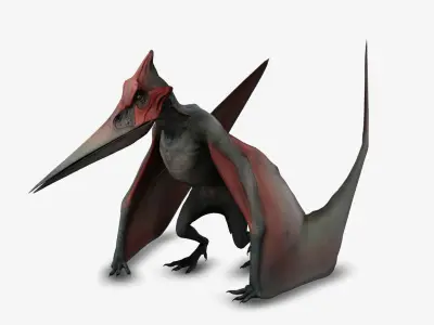 Pteranodon 3D model