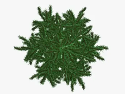 Fir tree artificial 02 3D model