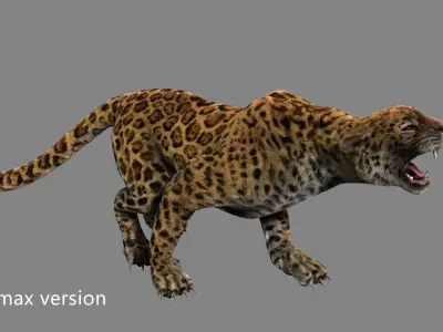leopard panther puma jaguar Low-poly 3D model