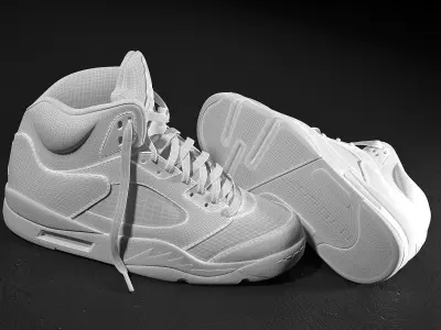 Air Jordan 5 Red Suede 3D model