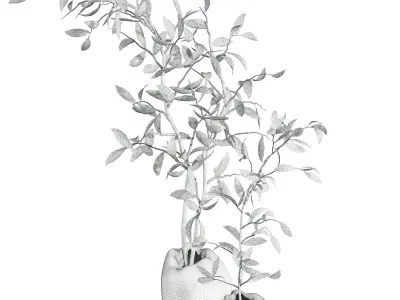 bouquet 3D model 4