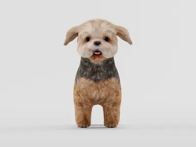 Shih Tzu Dog Breed 3D model