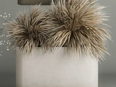 Plants In Flowerpots Made Of Dried Flowers 3D model