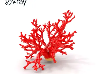 Red Coral Model Pack for Oceanic Environments Low-poly 3D model