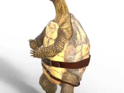 Captain Turtle 3D model