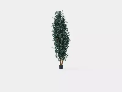 Potted Plant Low-poly 3D model