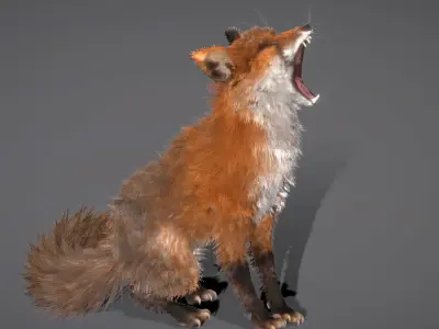 Red Fox 3D model purchase