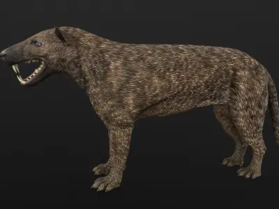 Hyaenodon horridus Low-poly 3D model