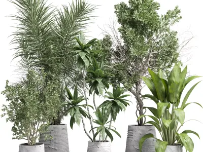 Indoor plant 461 concrete dirt vase plant palm fiucs tree pot 3D model