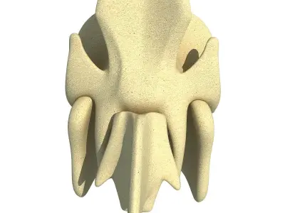 Pig Skull 3D model