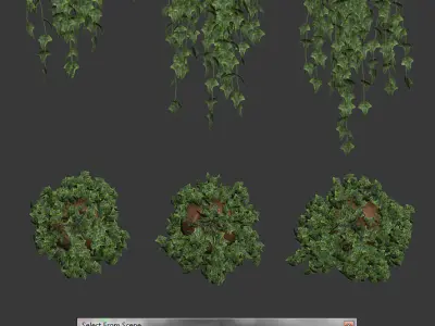 Set of 3 models Ivy in pots hanging on a chain 3D model