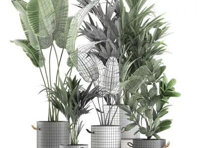 Plants in flower pots for the interior 595 3D model