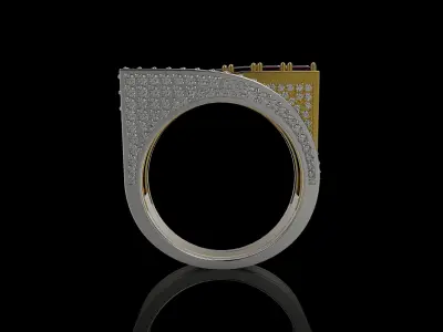 M RINGS N25 3D print model