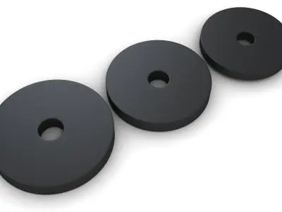 Gym Weight Plates 3D model