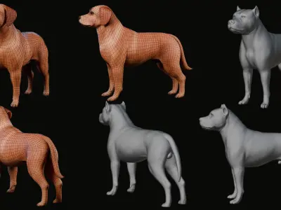 Dog Labrador Retriever Animal Low-poly 3D model