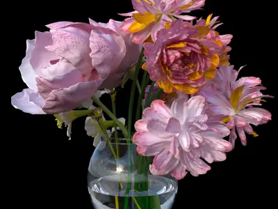 Peony Narcissus Flower set 3D model