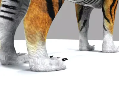 Tiger Rigging and Skinning with Blend Shapes 3D model