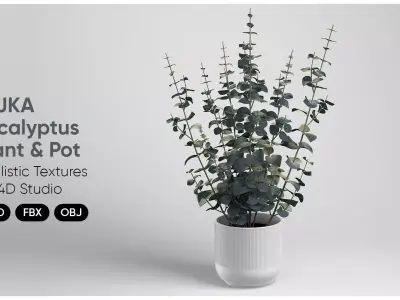 Realistic Eucalyptus Plant And Pot 3D Model 3D model