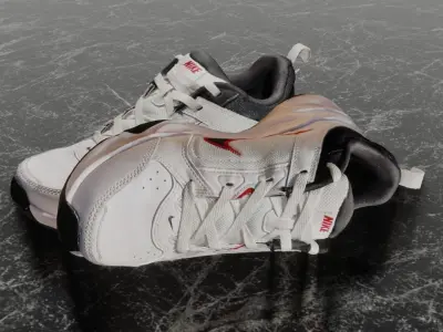 NIKE 3D SHOES Low-poly 3D model