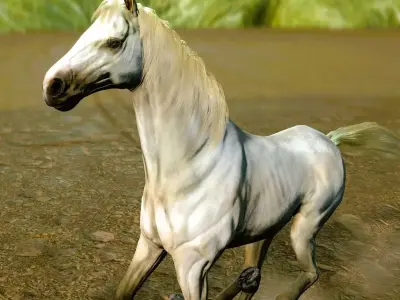 HORSE MODEL WITH 15 ANIMATIONS Low-poly 3D model