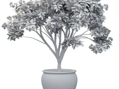 Decorative flowering garden tree decoration Provence style lilac 3D model