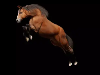 Horse Model 3D - Rigged - X-gen interactive grooming 3D model