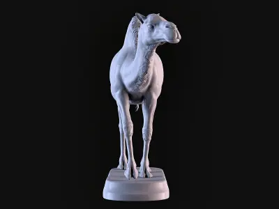 Camel 3D print model