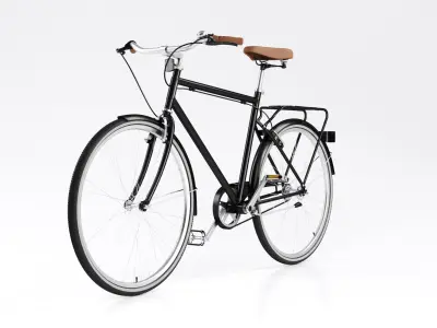 Bike Vintage Roadster 3D model