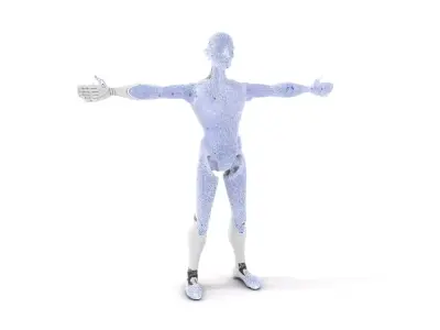 Sleek Silver Robot model pack Low-poly 3D model