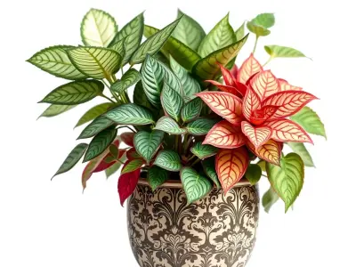 Ornate Leafy Plant model pack Low-poly 3D model