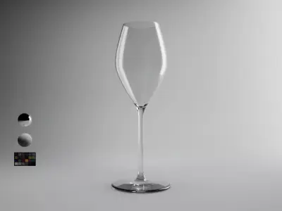 Tulip Champagne Glass 3D model