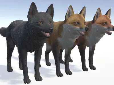 Fox - Male Low-poly 3D model