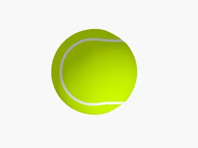 Tennis Ball 3D Model 3D model