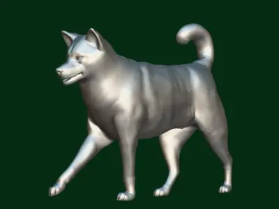 Ainu Dog Breed 3D model