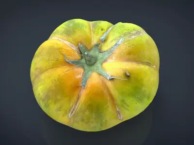 TOMATO 1 Low-poly 3D model