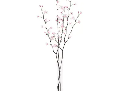 Flowering Tree Twigs in Glass Vase 3D model