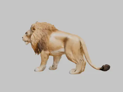 Majestic African Lion Low-poly 3D model