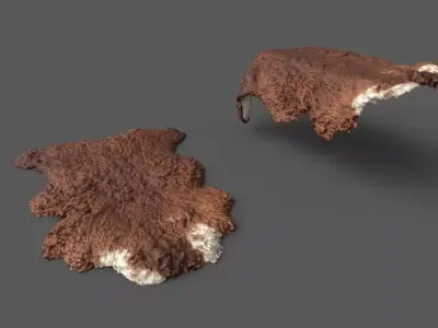 Brown sheep skin pelt fur Low-poly 3D model