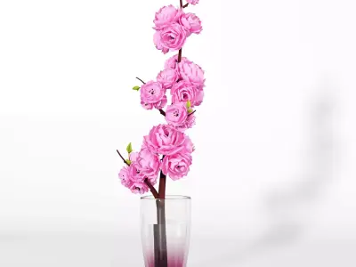 Flower plant set 06 3D model