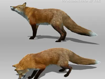 Red and Black Fox Animated with Fur 3D model