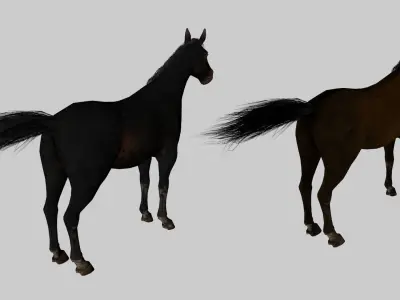 Realistic Horse 3D Model Pack 2 Variants  Game Ready Animals Low-poly 3D model