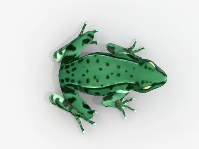 Low poly frog Low-poly 3D model
