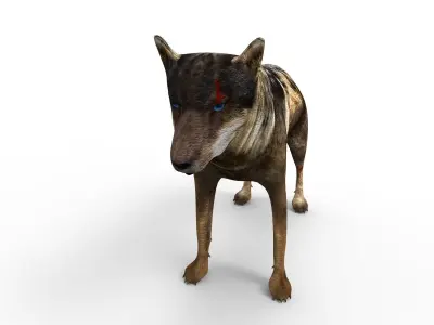 3d Wolf rigged and animated  Low-poly 3D model