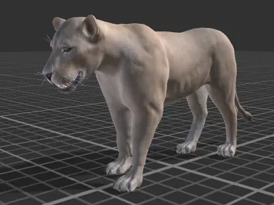 Lioness  Low-poly 3D model