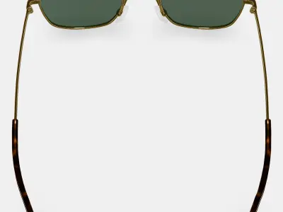 Blount Sunglasses in Polished Gold 3D model