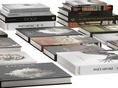 037 Decorative books set 04 Asia and Interior 00 3D model