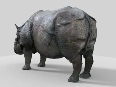 Photorealistic low-poly model rhinoceros Low-poly 3D model