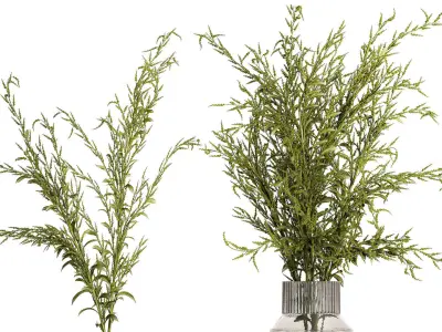 Bouquets of green branches of Solidago flowers in a vase 402 3D model